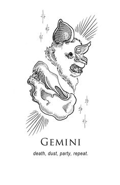 a black and white drawing of an animal with the words gemini above it