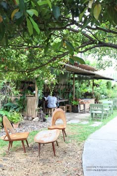 two wooden chairs sitting under a tree in a yard