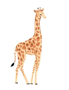 a drawing of a giraffe standing in front of a white background