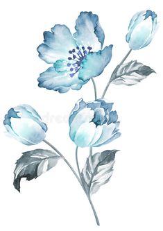 watercolor blue flowers with leaves and buds on a white background stock photo - image