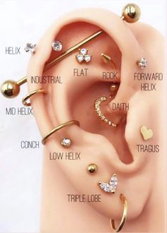 an ear with different types of piercings on it and labeled in the text below