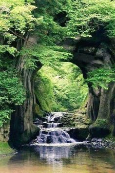 a river running through a lush green forest