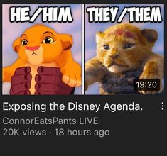 the lion king and the person from disney's animated movie, which is being viewed in