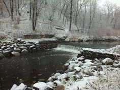 a small stream running through a forest covered in snow