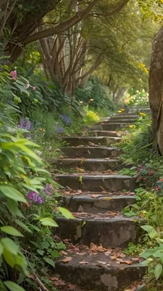 there are many steps that lead up to the trees in this forest, with flowers growing all around them