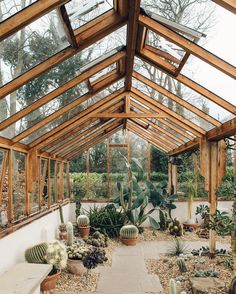 the inside of a greenhouse with many cacti and succulents in it