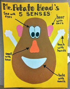 an image of a poster with the words mr potato head's 5 sensees