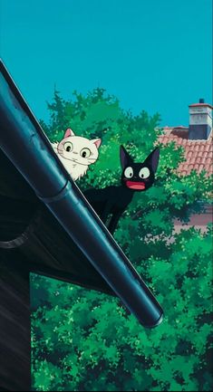 two cats are standing on the roof of a building and one is looking at another cat