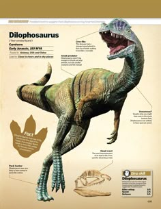 an image of a dinosaur with its mouth open and some parts labeled in the diagram