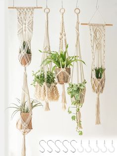 macrame plant hangers with plants in them and hanging from hooks on the wall