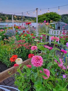 a garden filled with lots of colorful flowers