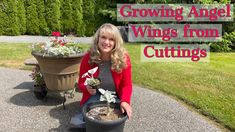 a woman holding a potted plant with the words growing angel wings from cuttings