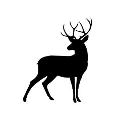 a black and white silhouette of a deer with antlers on it's head