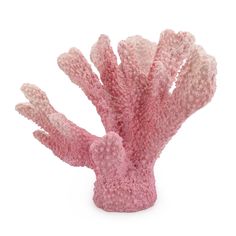 a pink coral shaped object on a white background