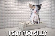 a cat sitting on top of a box in the middle of a room with tile walls