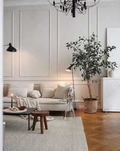 a living room filled with furniture and a potted plant