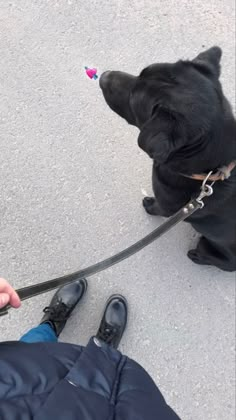 a black dog sitting on top of a person's lap next to a persons leg