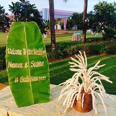 a large green leaf sitting on top of a table next to a potted plant