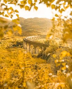 an old bridge is surrounded by trees and hills in the distance, with yellow foliage on the foreground