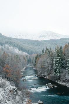 a river running through a forest covered in snow