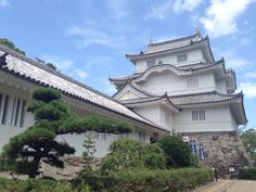 a tall white building sitting on top of a lush green field next to a forest