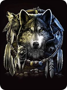 Draw Wolf, Wolf Dreamcatcher, Wolf Artwork, Wolf Face, Wolf Spirit Animal, Wolf Wallpaper, Faux Fur Blanket, Wolf Pictures, Wolf Spirit