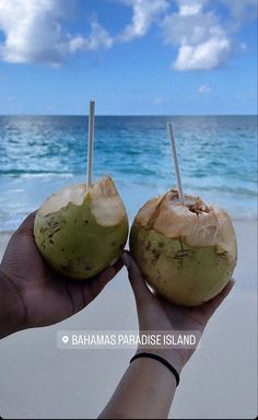 two coconuts with sticks sticking out of them on the beach