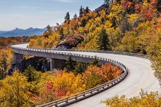 a curved road surrounded by trees with fall foliage on both sides and mountains in the background