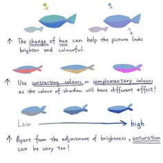 an image of different types of fish