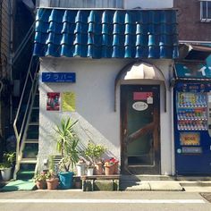 a store front with blue roofing and potted plants on the sidewalk in front of it