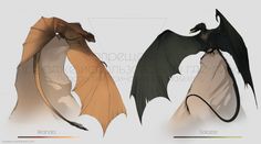 two different types of dragon wings on a white background