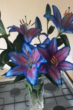 a vase filled with purple and blue flowers on top of a stove burner next to a wall