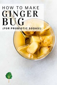 a glass bowl filled with ginger bug soup and the words how to make ginger bug for probiotic soda