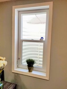 a vase with flowers sitting next to a window