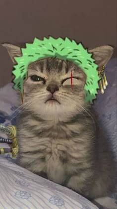 a cat with a green headband on it's head sitting on a bed