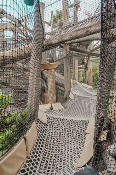 the inside of a caged in area with lots of plants and rocks on it