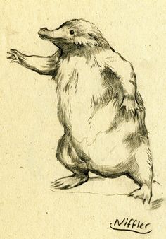 a drawing of a bird sitting on the ground with its legs spread out and it's beak extended