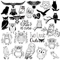 black and white owl cliparts with the words owl time is cute, two little owls