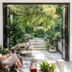 a dog laying on a couch in the middle of a patio with plants and potted trees