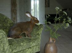 a rabbit sitting on a green couch next to a vase with flowers in it and another animal behind the chair