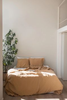 an unmade bed in a white room next to a potted plant