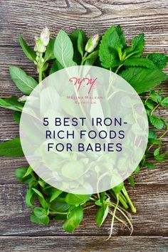 fresh herbs with the words, 5 best iron - rich foods for babies on top