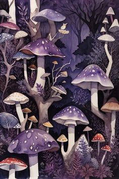 a painting of many different types of mushrooms in the dark forest with purple hues