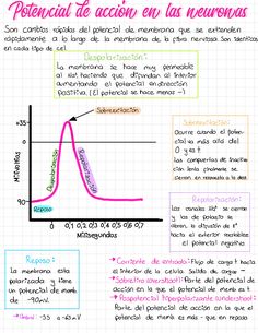 a whiteboard with some writing on it and an image of a line graph in the middle