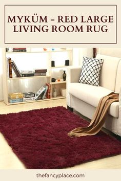 a living room filled with furniture and a red rug