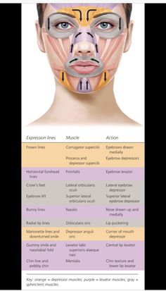 Botox Supplies, Facial Muscles Anatomy, Anti Wrinkle Injections