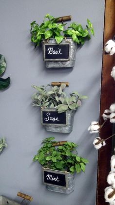 several small pots filled with white flowers on a wall