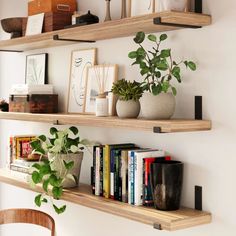 two wooden shelves with books and plants on them, one shelf is filled with books