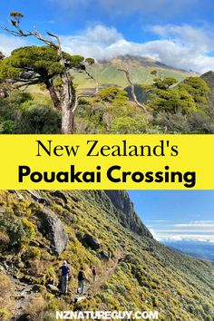 new zealand's pohaki crossing with text overlay