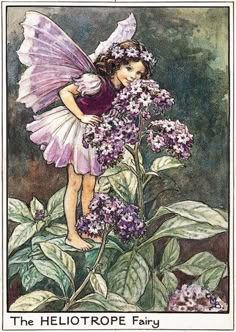 Fairy Cards, Fairy Nursery, 동화 삽화, Fairy Images, Fairy Illustration, Fairy Artwork